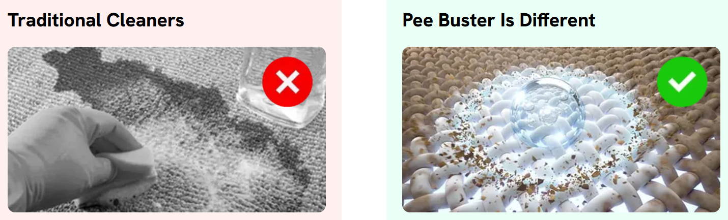 Pee Buster vs Traditional Cleaners